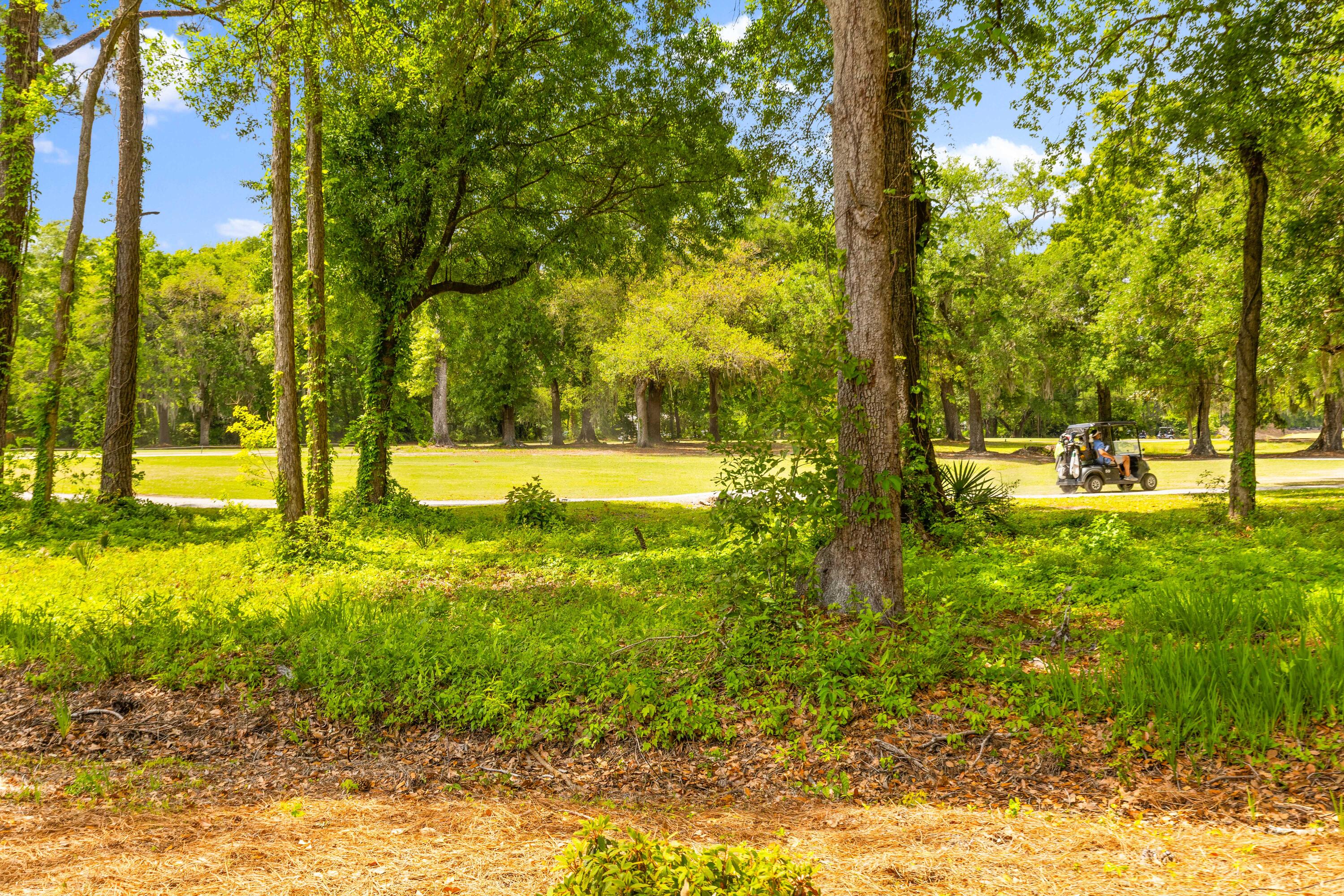 481 Woodland Shores Road Charleston, SC 29412 - Photo 21 of 37 1G1A4631