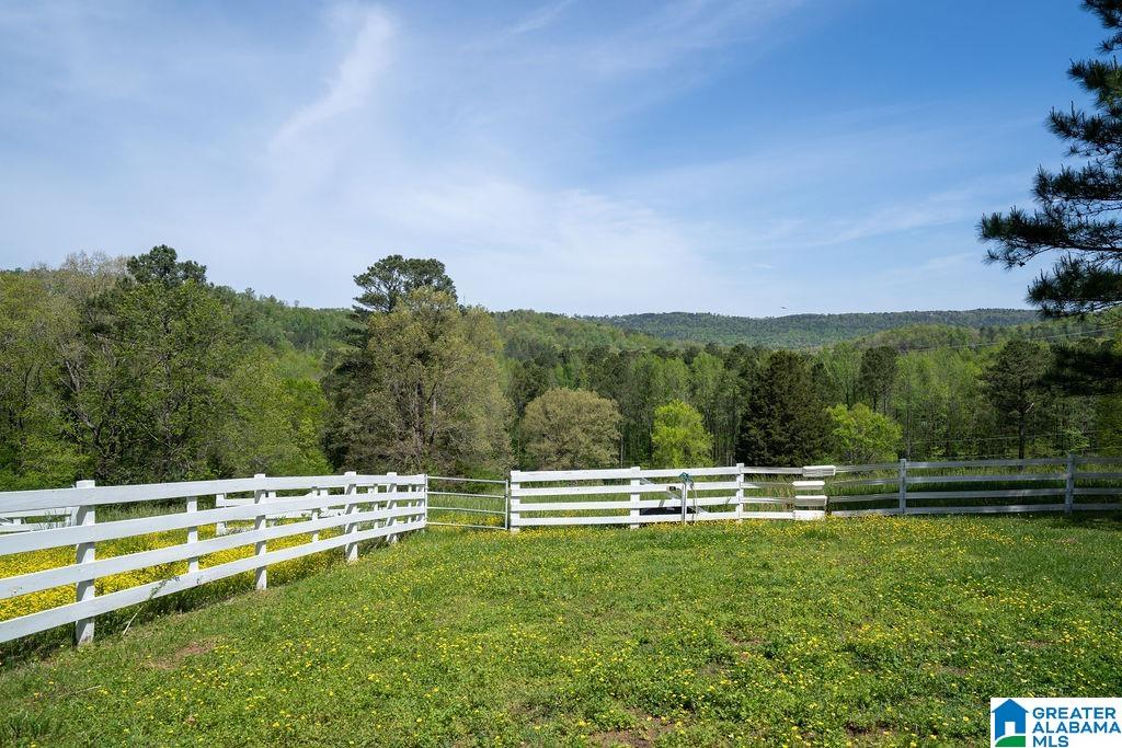 102 Burgess Drive Springville, AL 35146 - Photo 31 of 46