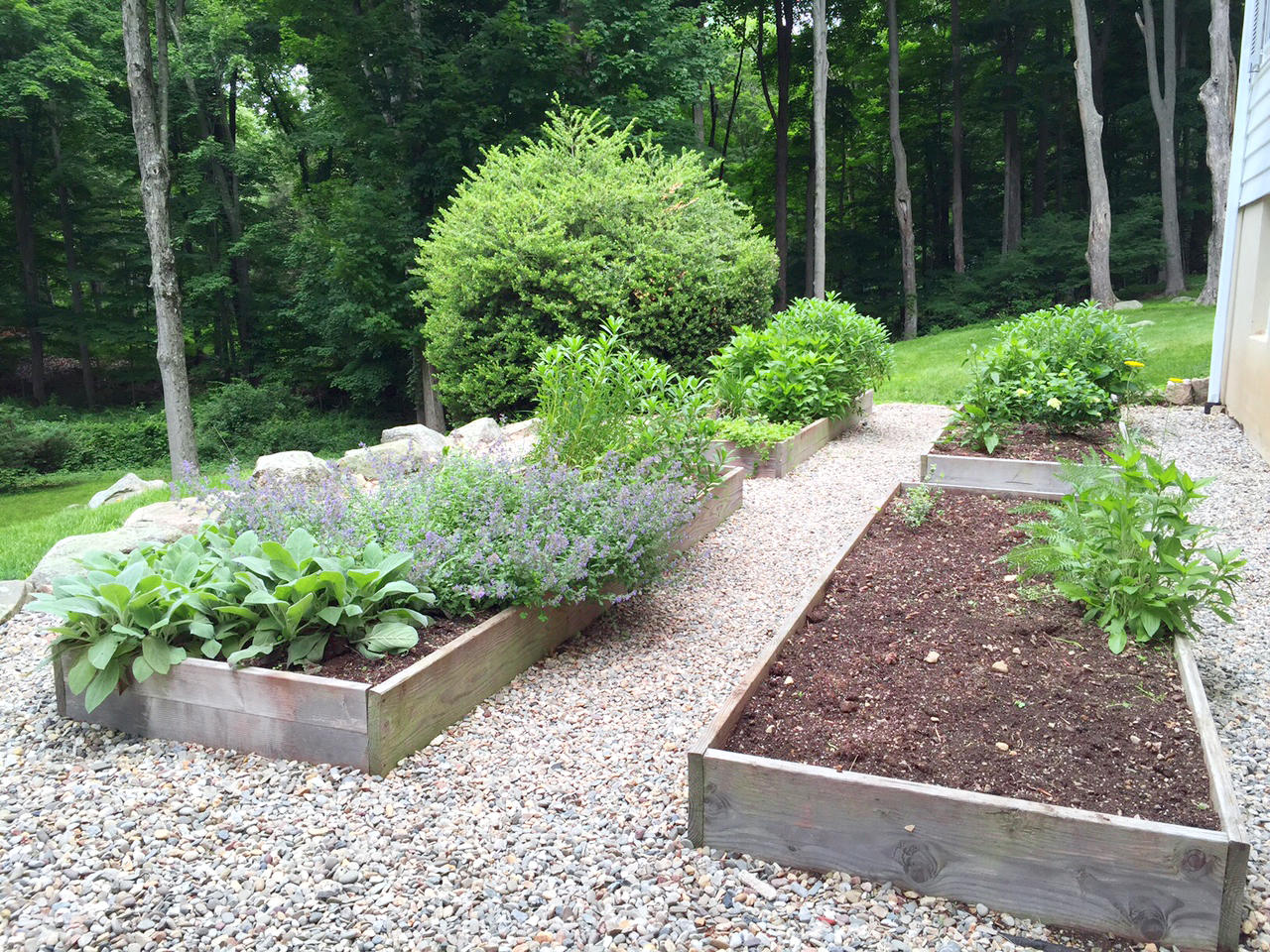 1342 Valley Road New Canaan, CT 06840 - Photo 7 of 10 a view of a garden with plants