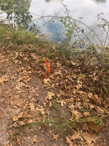 $45,000 | Ka-ho Lake Ka-Ho, Mount Olive, IL 62069