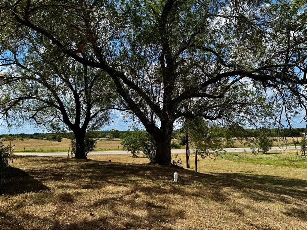 7611 Schramm Road La Grange, TX 78945 - Photo 3 of 30 a view of yard with trees