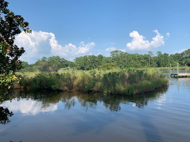 0 Piney Woods Road Bon Secour, AL 36511 - Photo 1 of 1