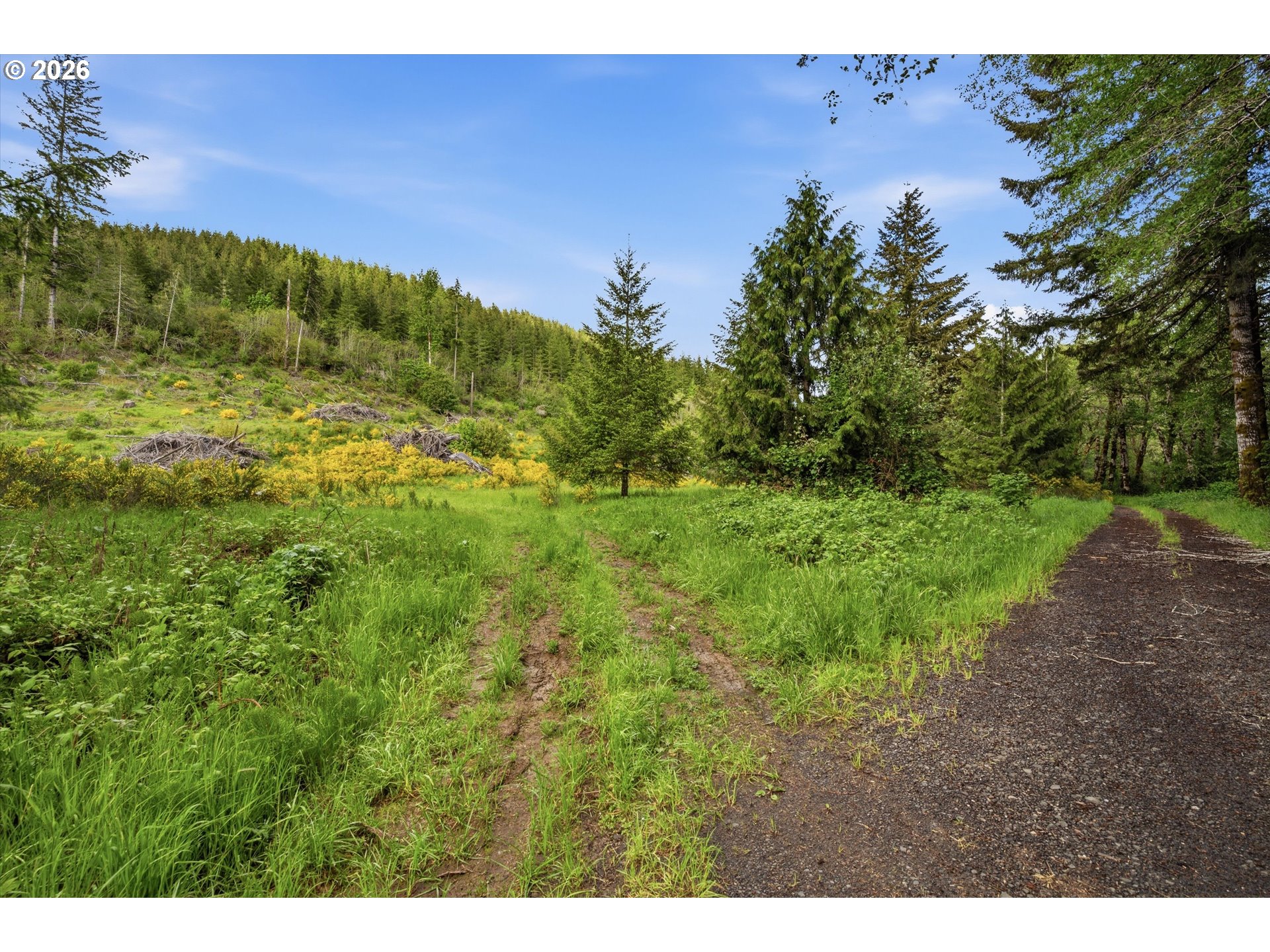 57950 Southwest Hebo Road Grand Ronde, OR 97347 - Photo 41 of 48