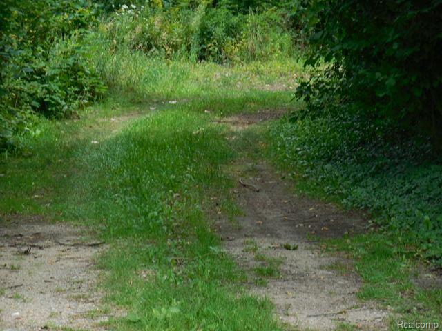 67041 Wolcott Road Ray, MI 48096 - Photo 35 of 35 DSCN8697.jpg