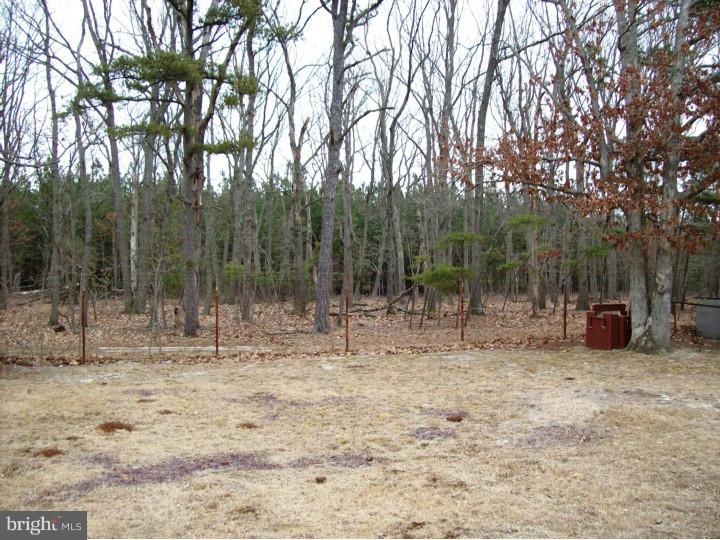 132 Country Club Road Pine Hill, NJ 08021 - Photo 19 of 25