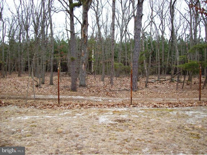 132 Country Club Road Pine Hill, NJ 08021 - Photo 20 of 25
