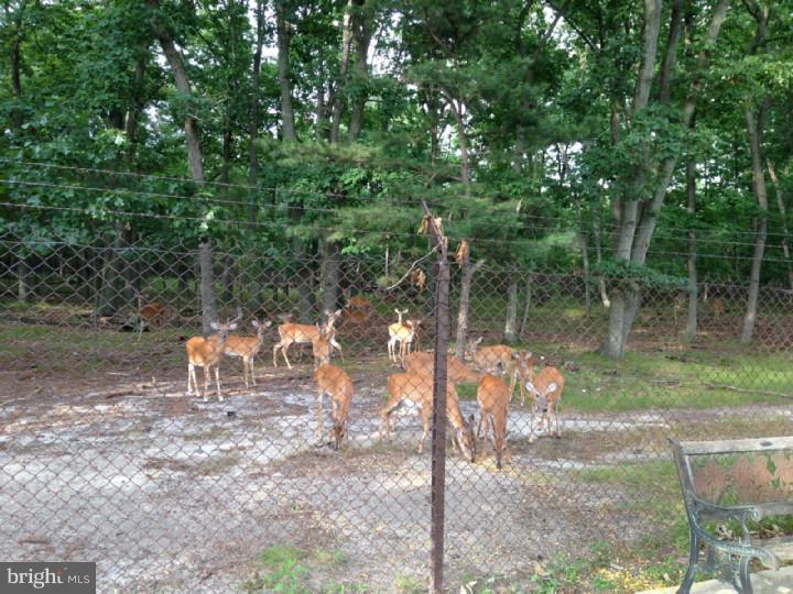 132 Country Club Road Pine Hill, NJ 08021 - Photo 21 of 25