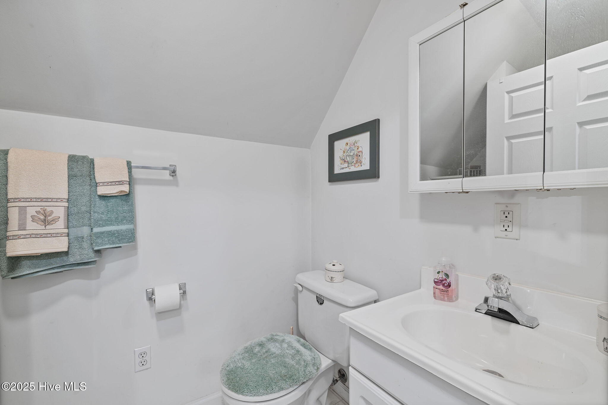 2719 Oberry Road Mount Olive, NC 28365 - Photo 22 of 27 5T5A5756