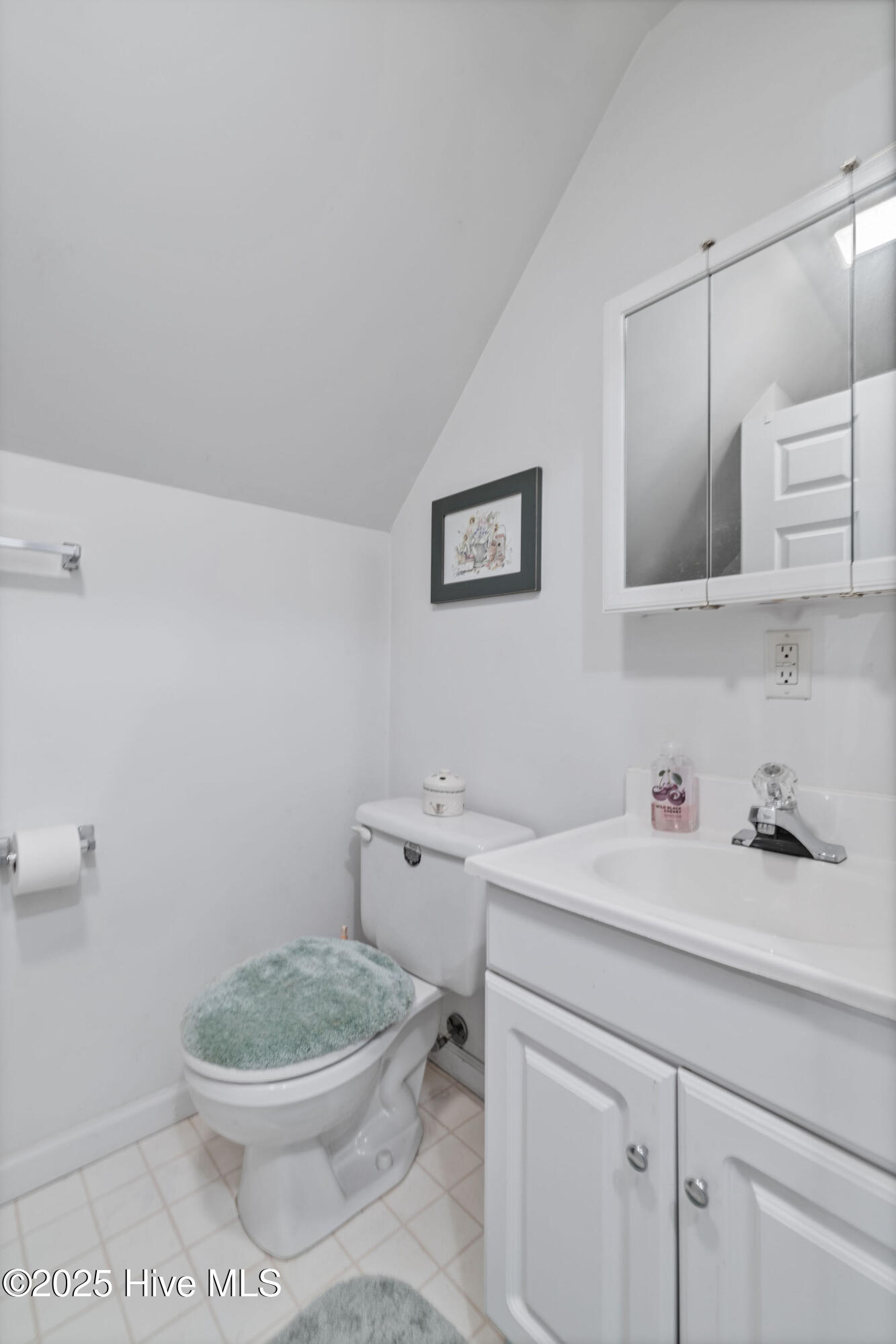 2719 Oberry Road Mount Olive, NC 28365 - Photo 23 of 27 5T5A5761