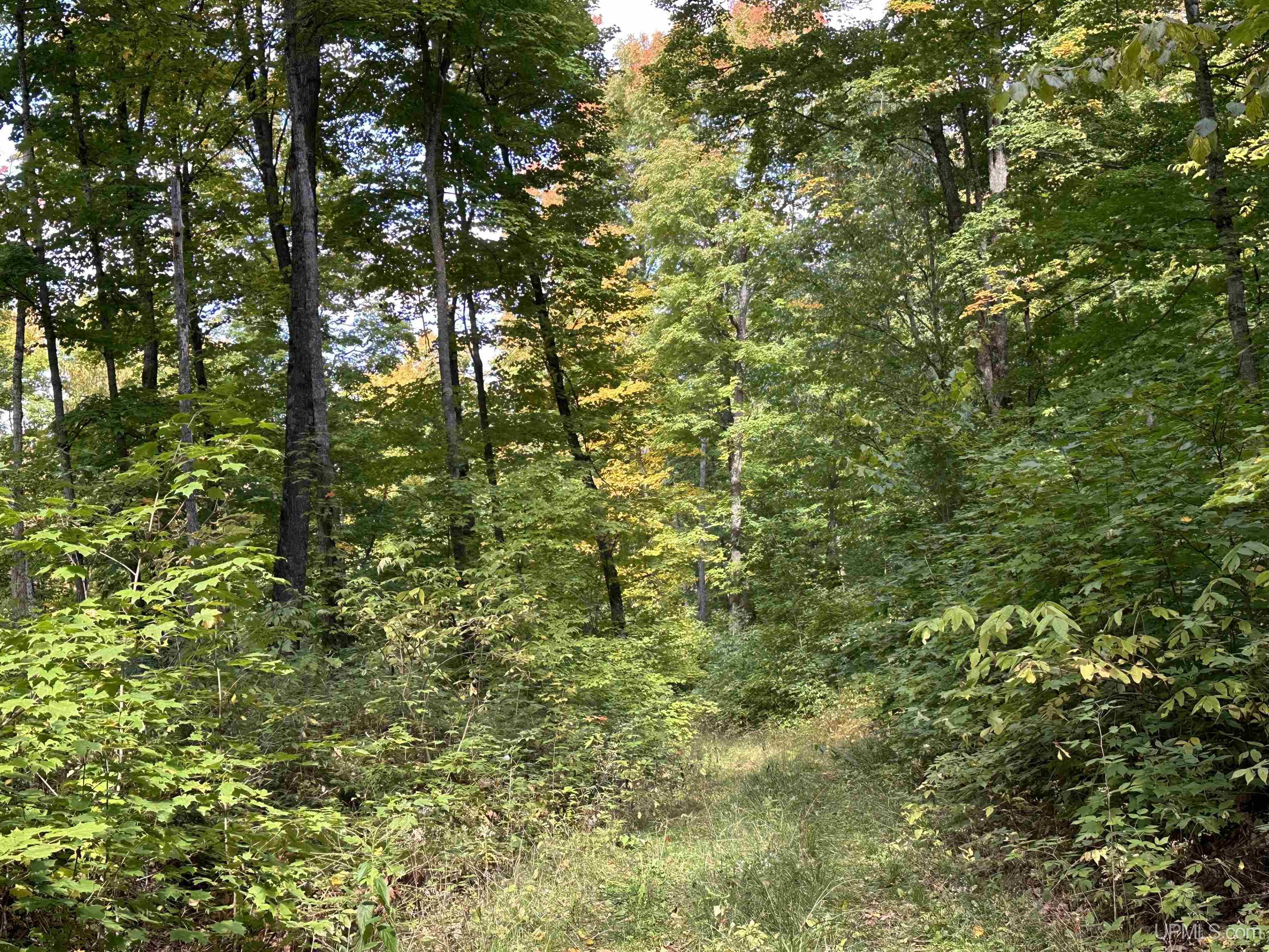 Off County Line Lake Road Bruce Crossing, MI 49912 - Photo 25 of 25