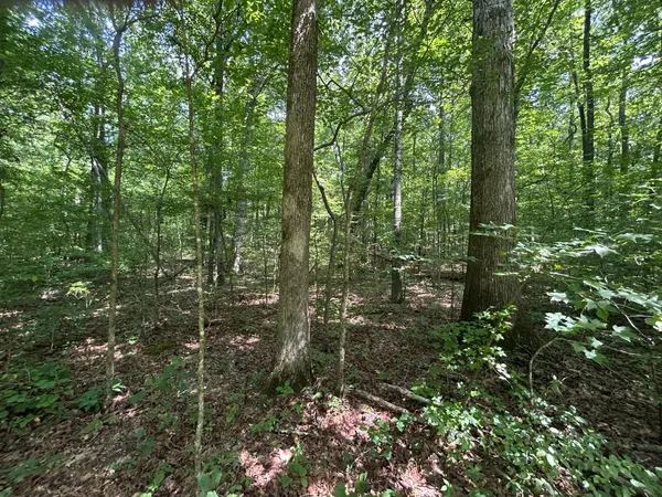 $149,900 | 1 Highway 304 Ten Mile Tn 37380, Ten Mile, TN 37880