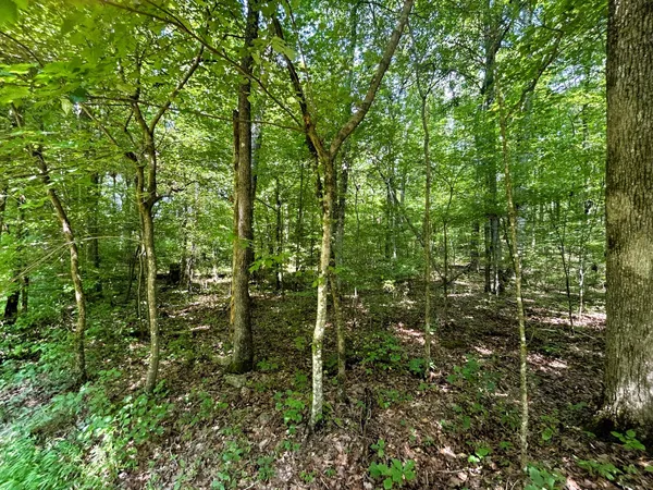 $149,900 | 1 Highway 304 Ten Mile Tn 37380, Ten Mile, TN 37880