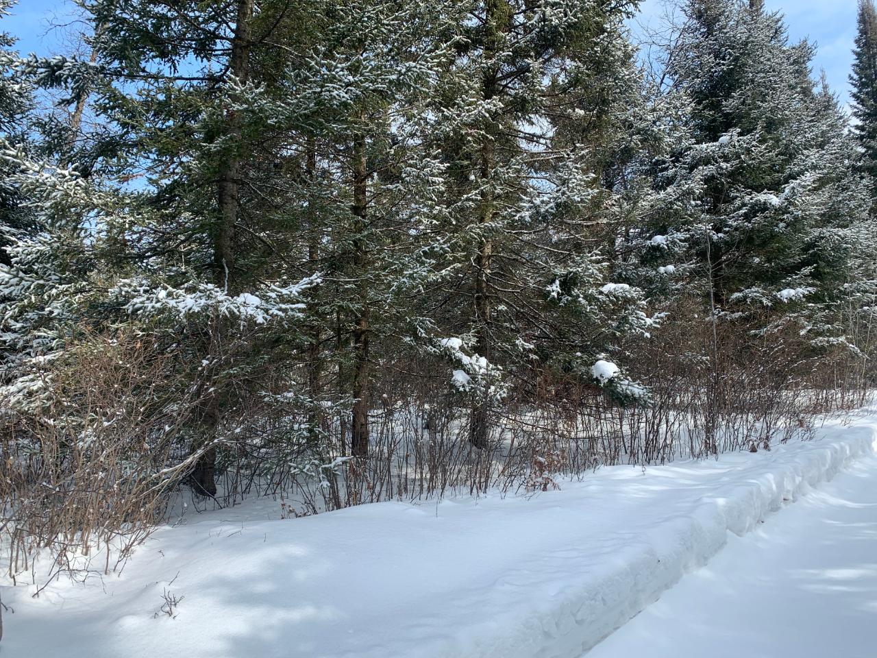 On Burnt Bridge Road, Unit LOT 1 St. Germain, WI 54558 - Photo 6 of 15 Gallery Image 6