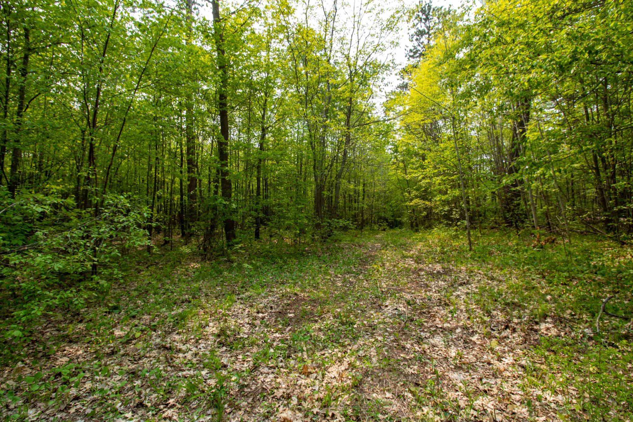 47 Green Valley Osage, MN 56570 - Photo 1 of 1