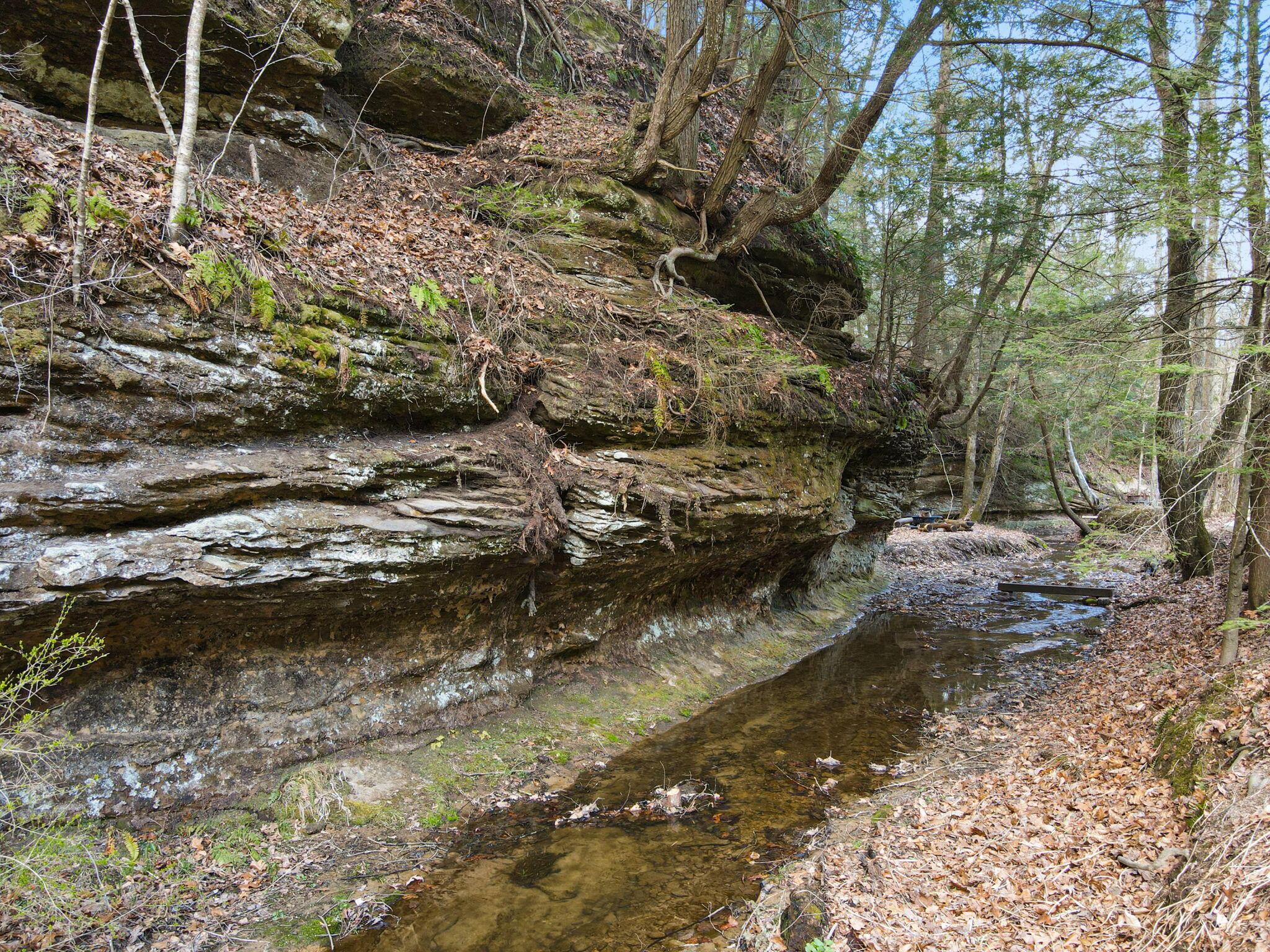 9385 Rich Hollow Road Southwest Lancaster, OH 43130 - Photo 111 of 146 70-web-or-mls-DJI_0671