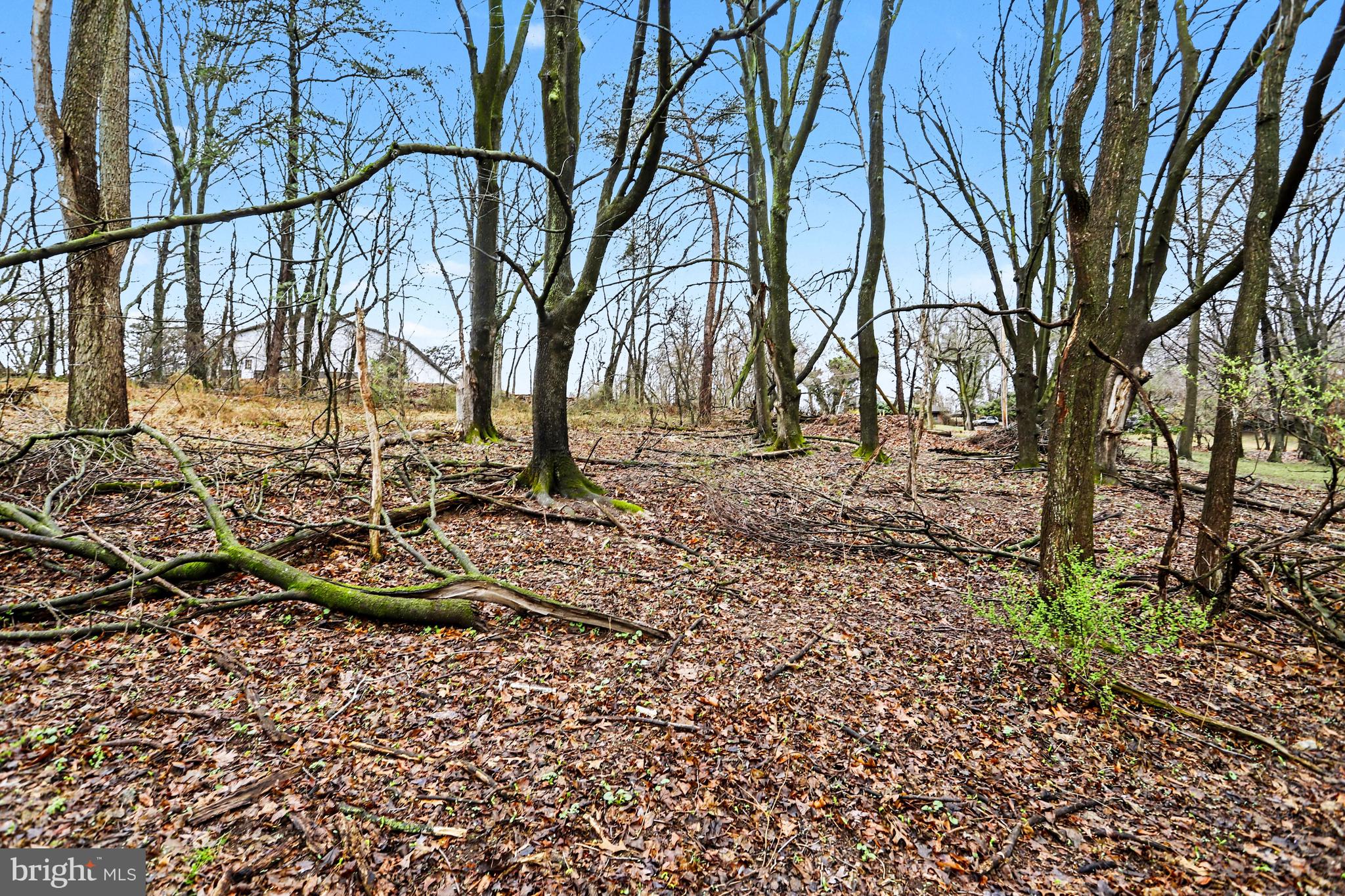 1940 Alcott Road York, PA 17406 - Photo 15 of 31 a view of a backyard of the house