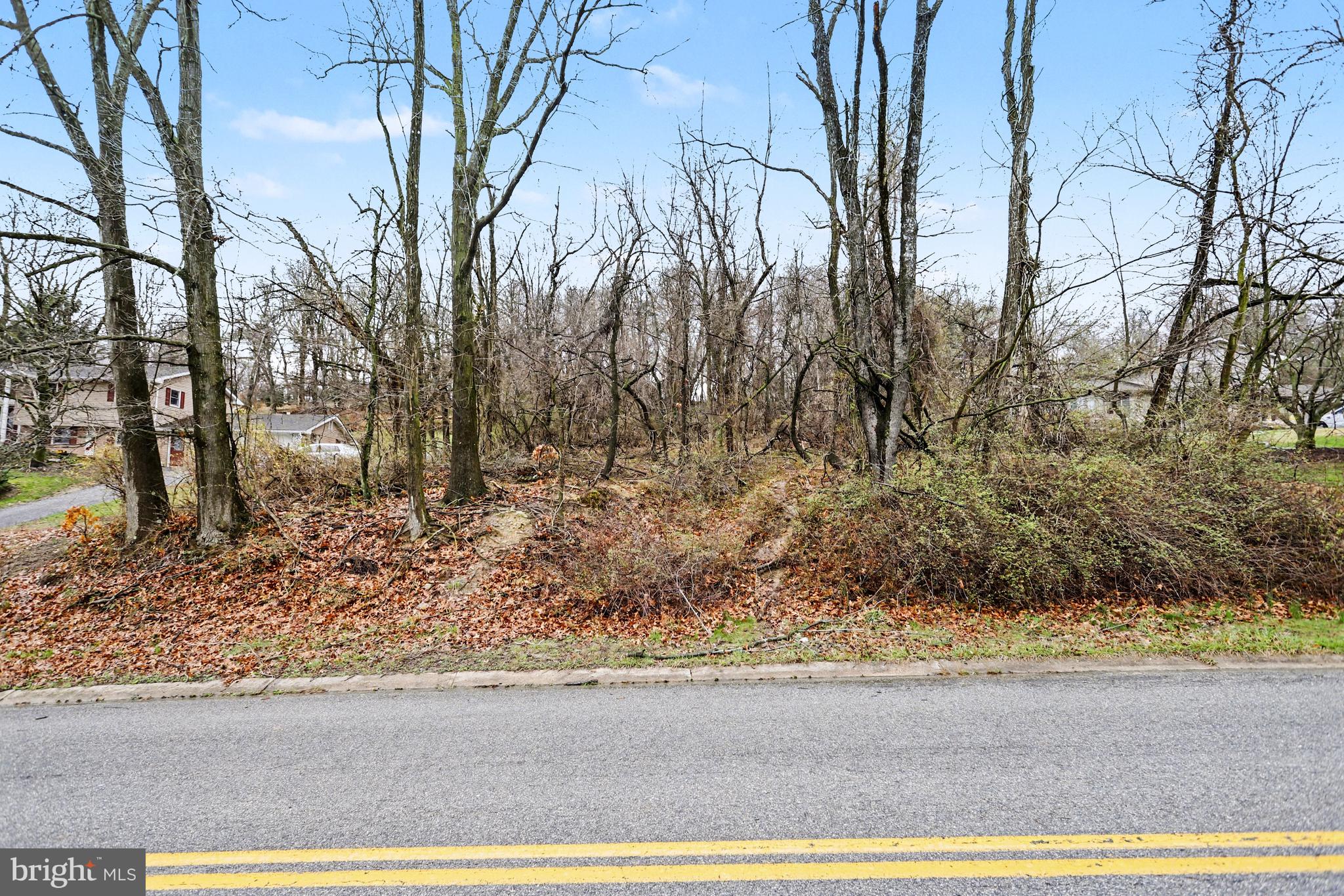 1940 Alcott Road York, PA 17406 - Photo 16 of 31 a view of a yard with large trees