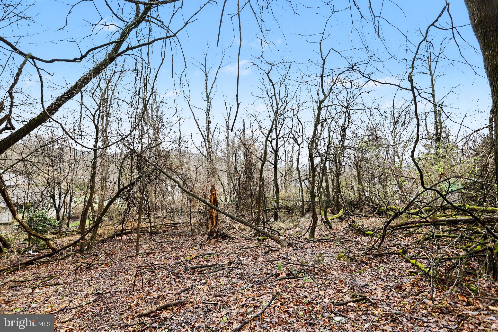 1940 Alcott Road York, PA 17406 - Photo 17 of 31 a backyard of a house with lots of green space