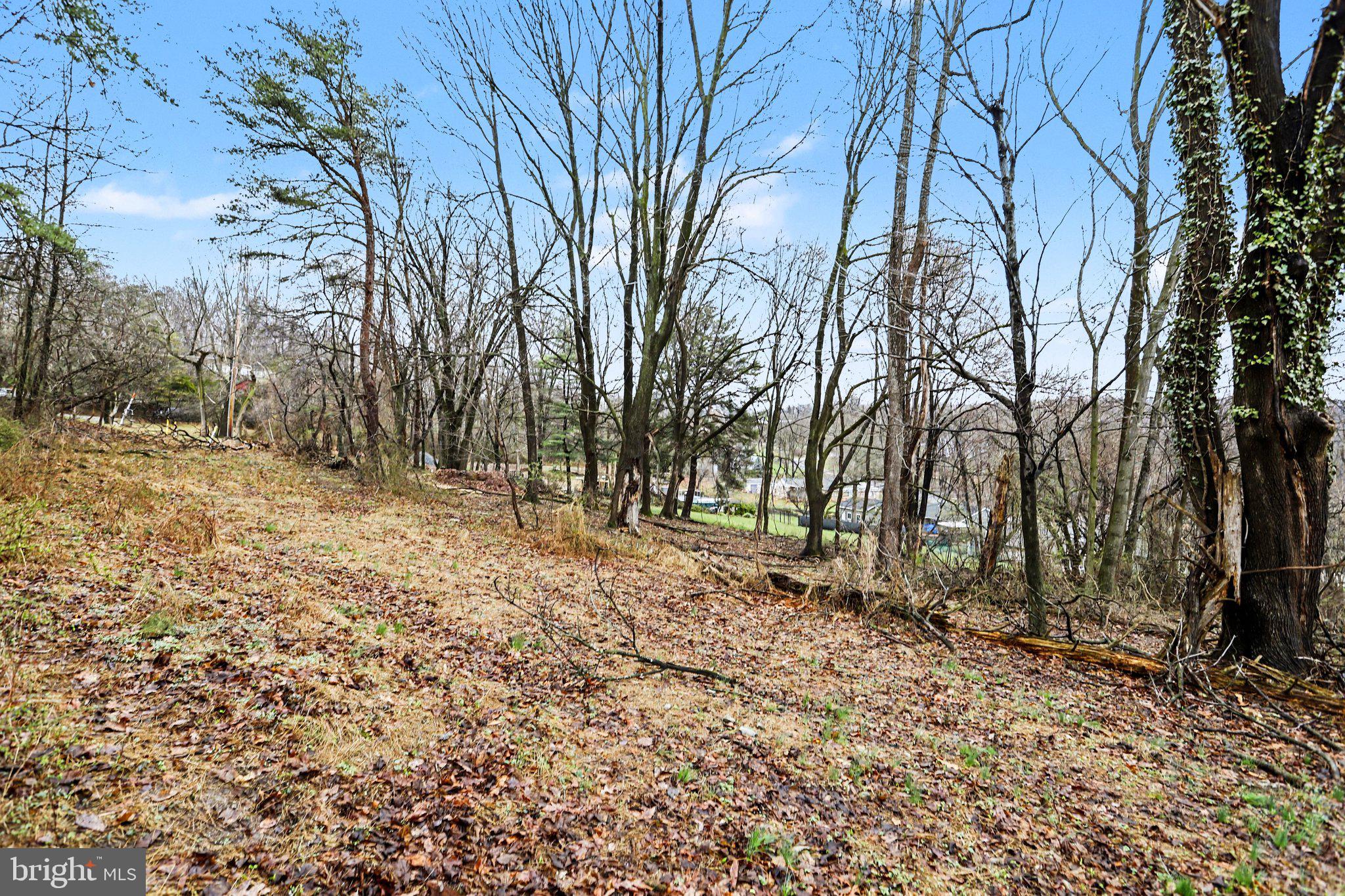 1940 Alcott Road York, PA 17406 - Photo 2 of 31 a view of a yard with trees