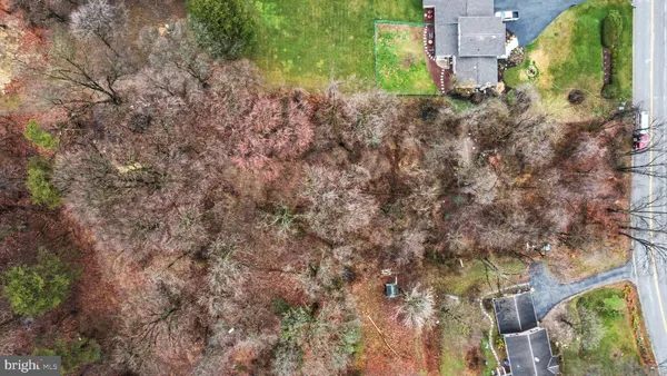 a view of backyard