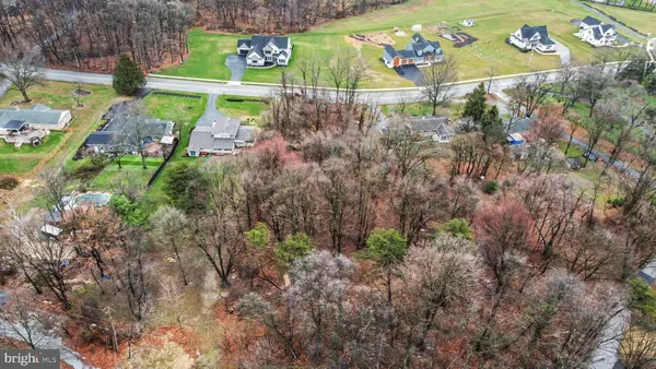 a view of yard
