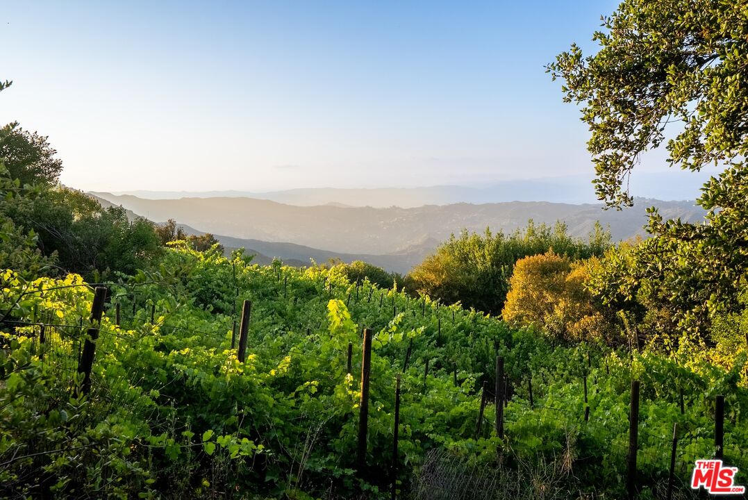 21965 Saddle Peak Road Topanga, CA 90290 - Photo 49 of 56 a view of a lake