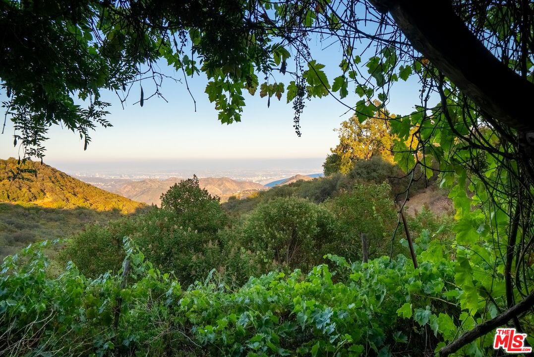 21965 Saddle Peak Road Topanga, CA 90290 - Photo 50 of 56 a view of a tree with a yard