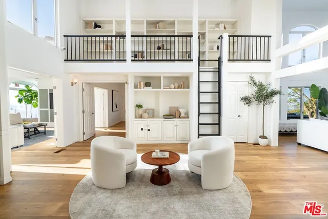a living room with furniture a rug and a potted plant