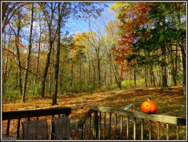 a view of yard with tree