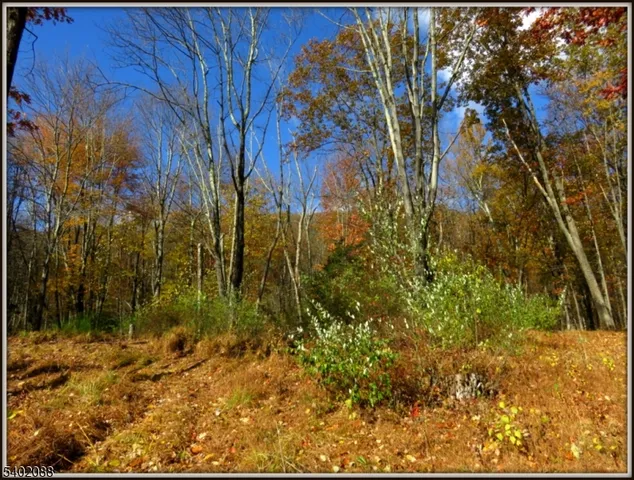 a view of a backyard of the house