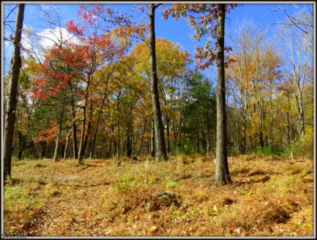 a view of a backyard of the house
