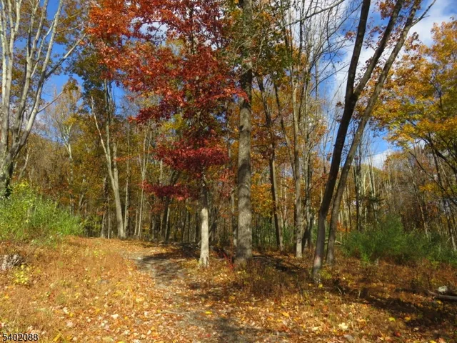 a view of a backyard of snow