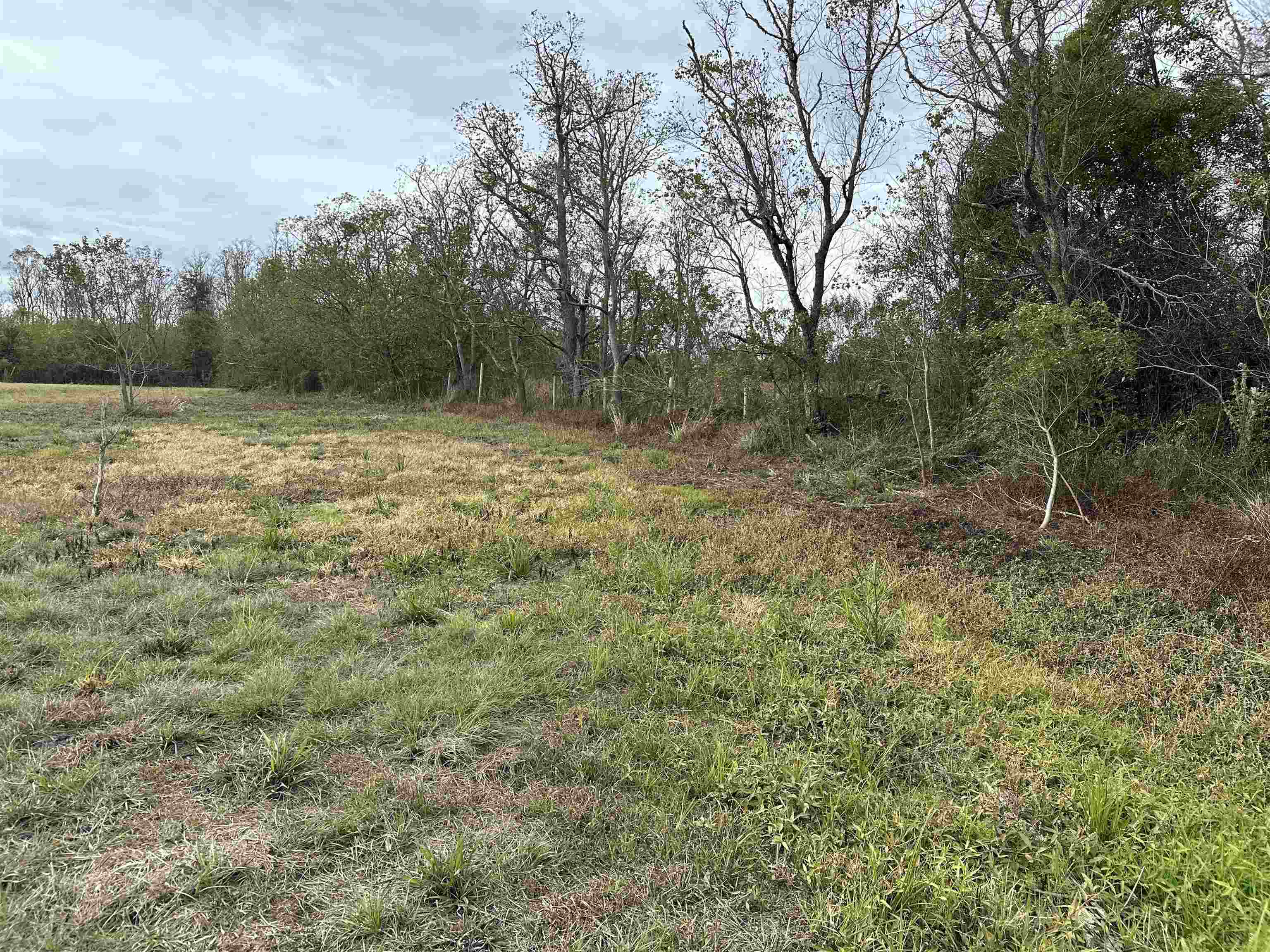 18835 Davis Road Summerdale, AL 36580 - Photo 2 of 11