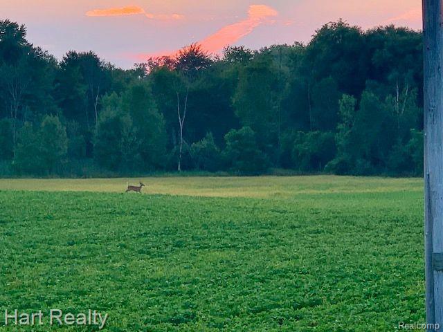 0 South State Road Croswell, MI 48422 - Photo 1 of 5