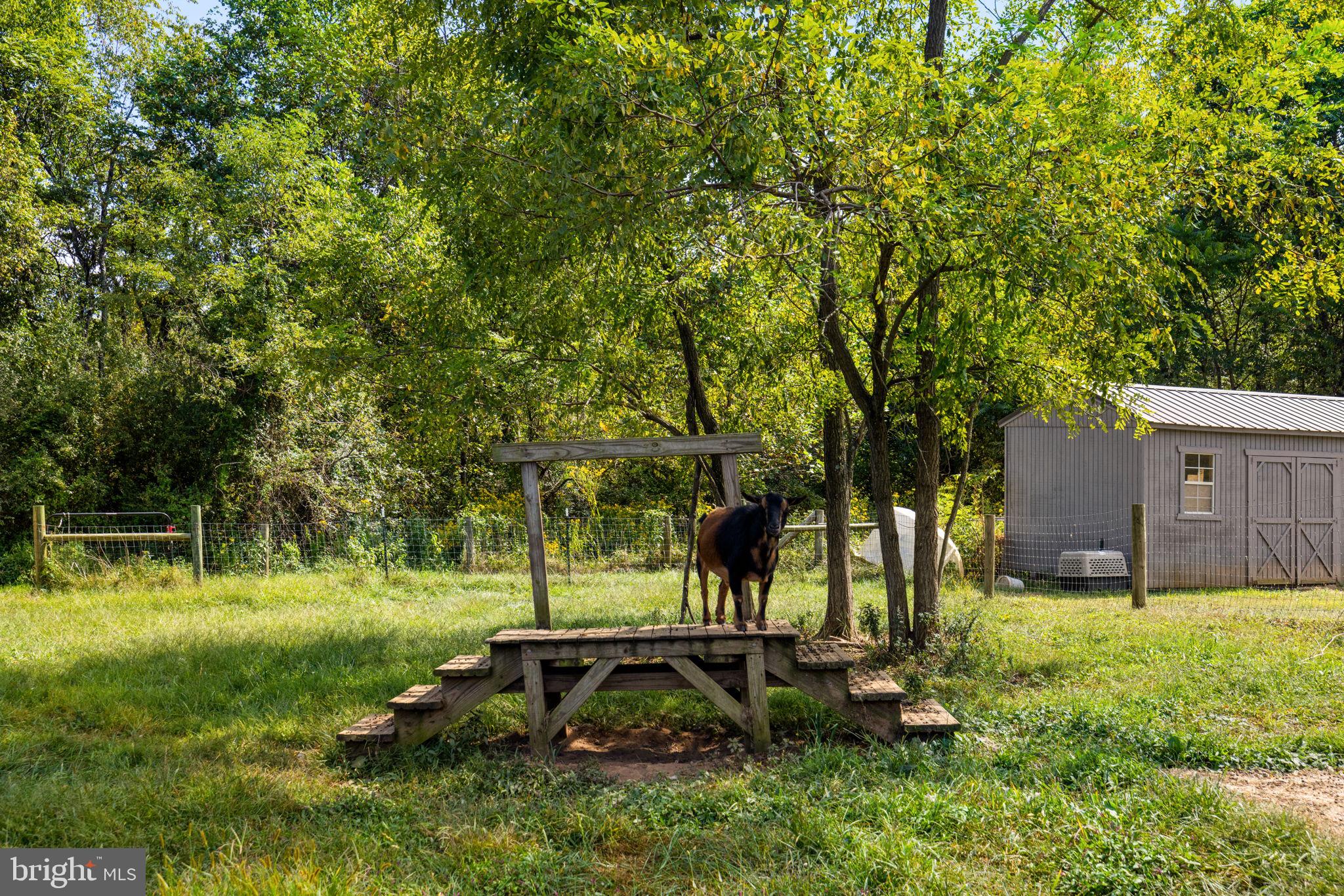 5077 Silver Stone Lane Rixeyville, VA 22737 - Photo 102 of 108