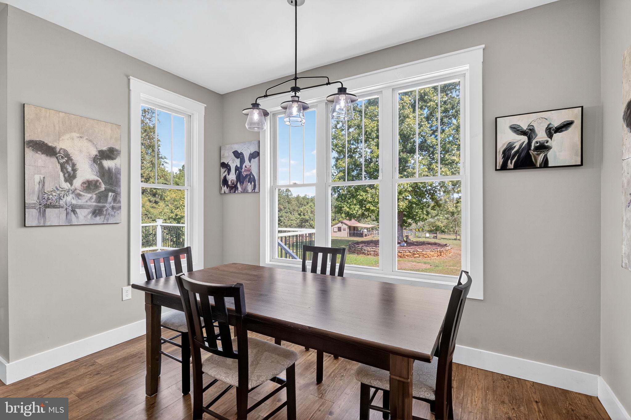 5077 Silver Stone Lane Rixeyville, VA 22737 - Photo 34 of 108