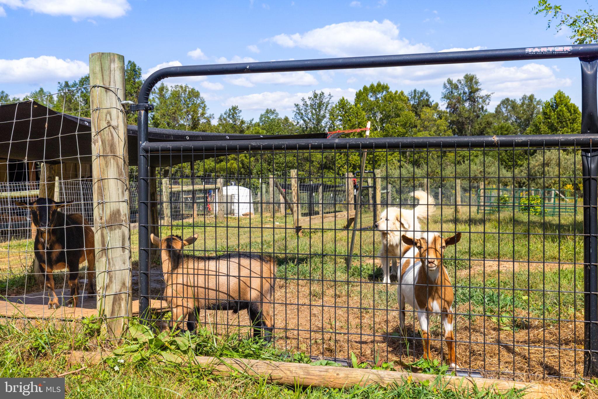 5077 Silver Stone Lane Rixeyville, VA 22737 - Photo 100 of 108