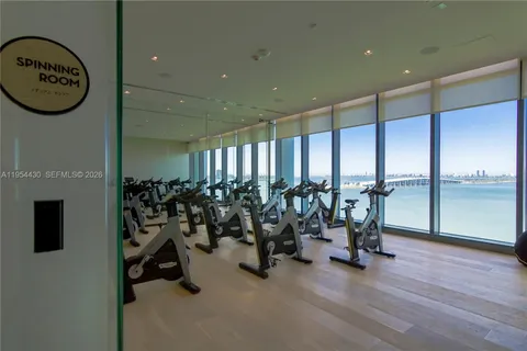 a view of a park with palm trees