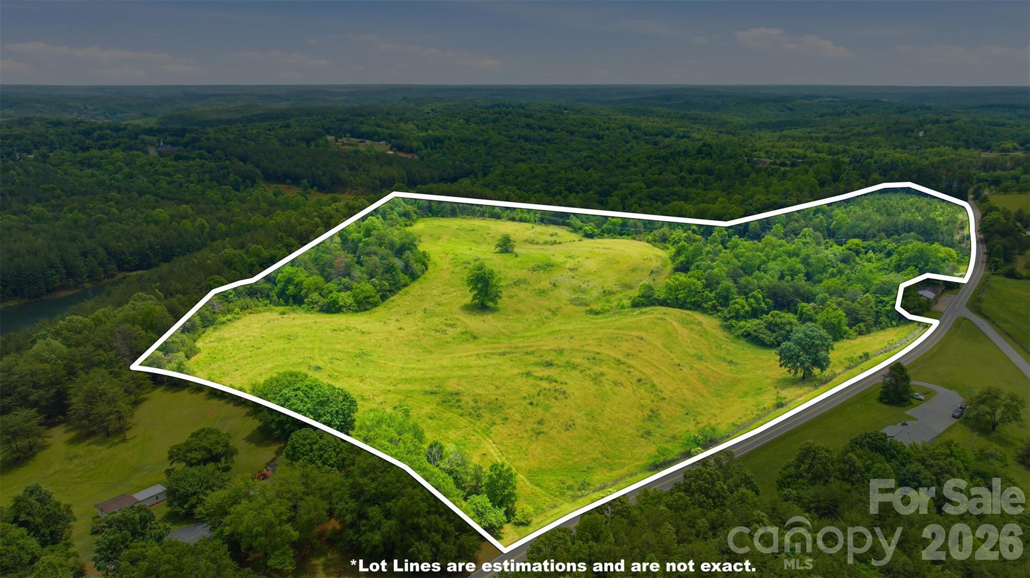 536 Pea Ridge Road Mill Spring, NC 28756 - Photo 5 of 9