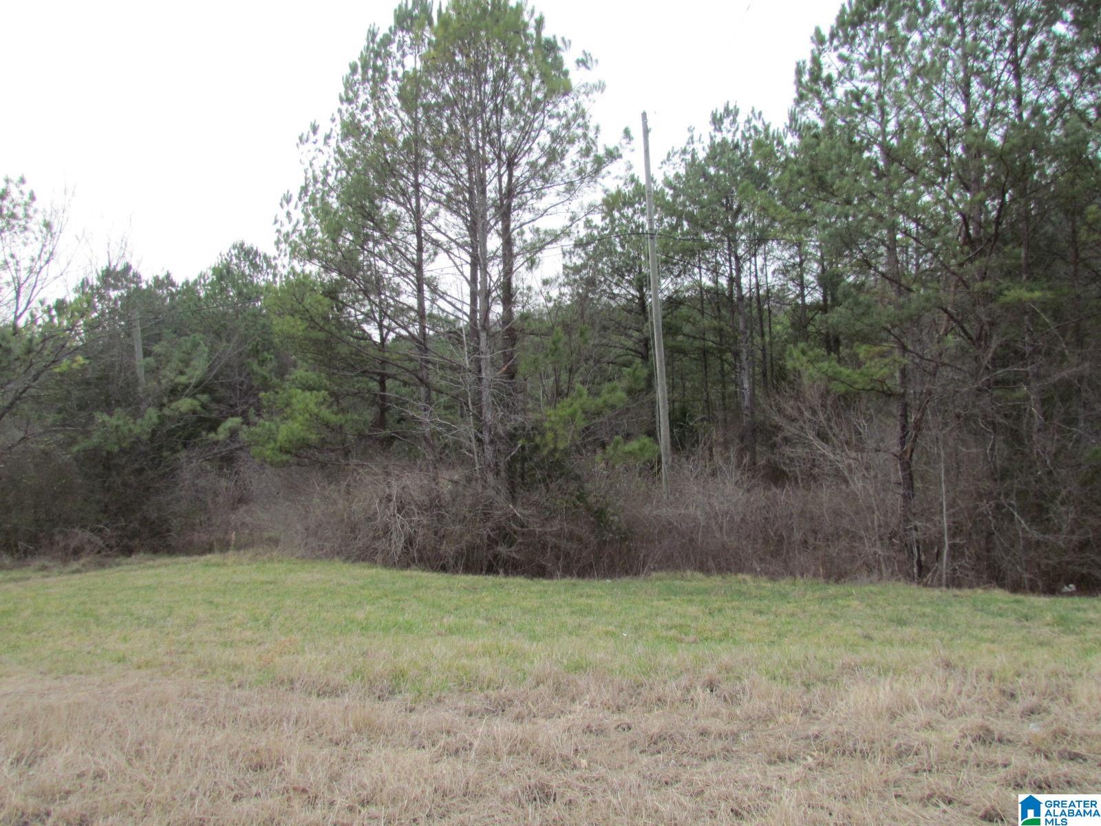 0 Highway 75 Oneonta, AL 35121 - Photo 2 of 6