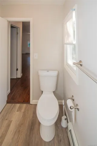 a bathroom with a toilet and a rug
