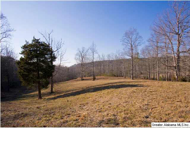 905 Smith Road Oneonta, AL 35121 - Photo 26 of 30