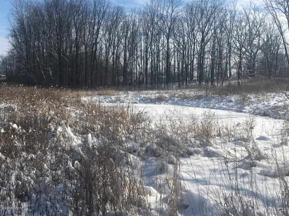 V/l Moore Road Tekonsha, MI 49082 - Photo 9 of 12