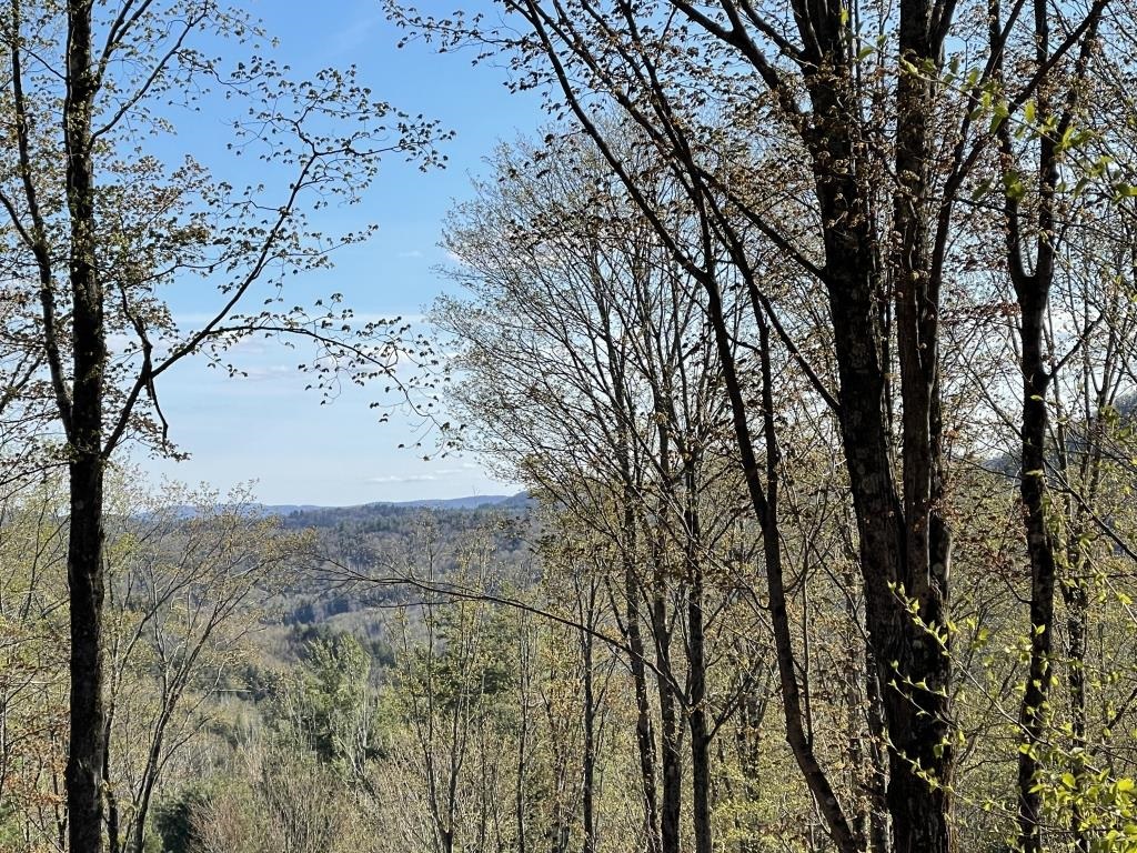 90 Reading Farms Road Reading, VT 05062 - Photo 2 of 6