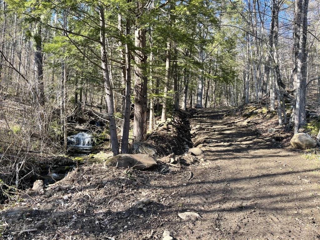 90 Reading Farms Road Reading, VT 05062 - Photo 3 of 6