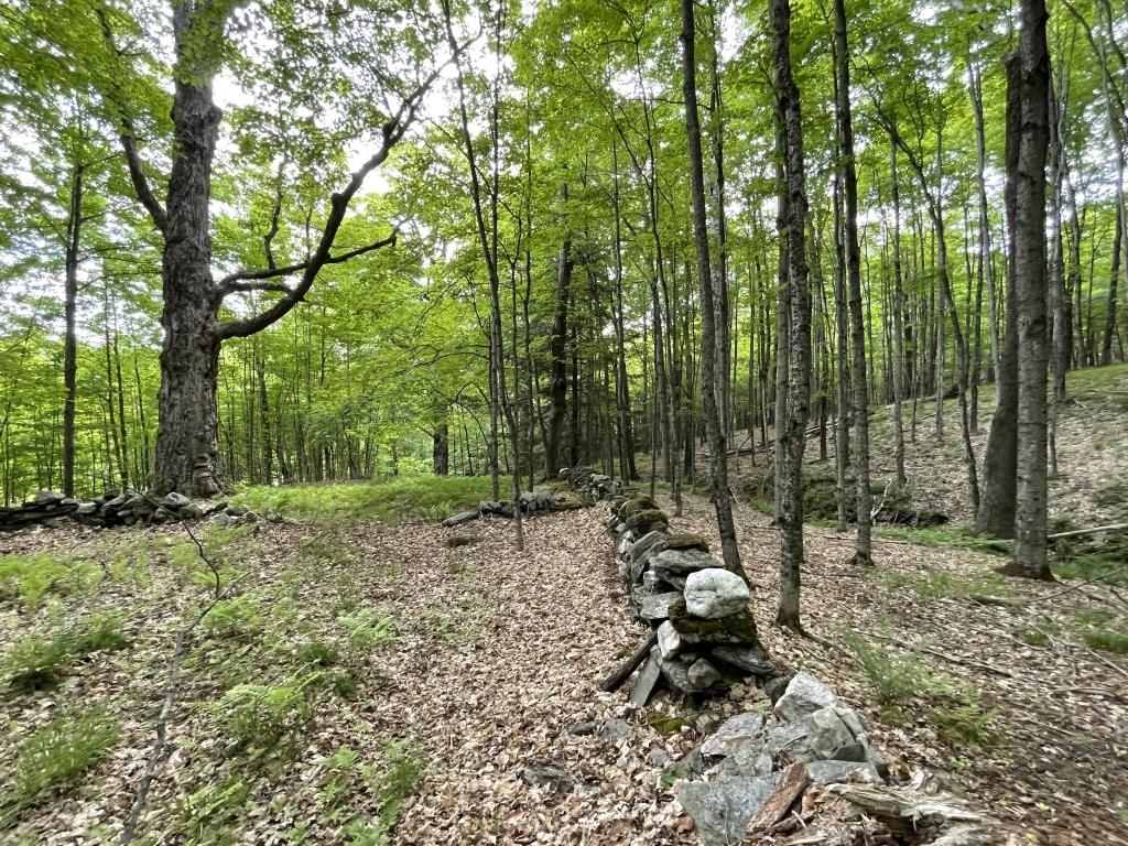 90 Reading Farms Road Reading, VT 05062 - Photo 4 of 6