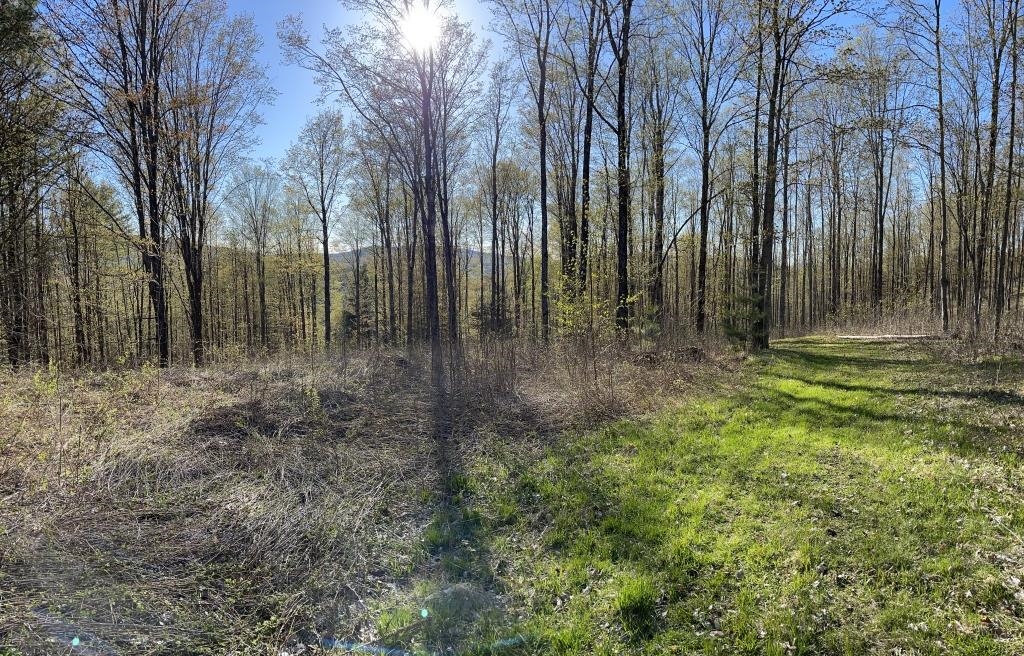 90 Reading Farms Road Reading, VT 05062 - Photo 5 of 6