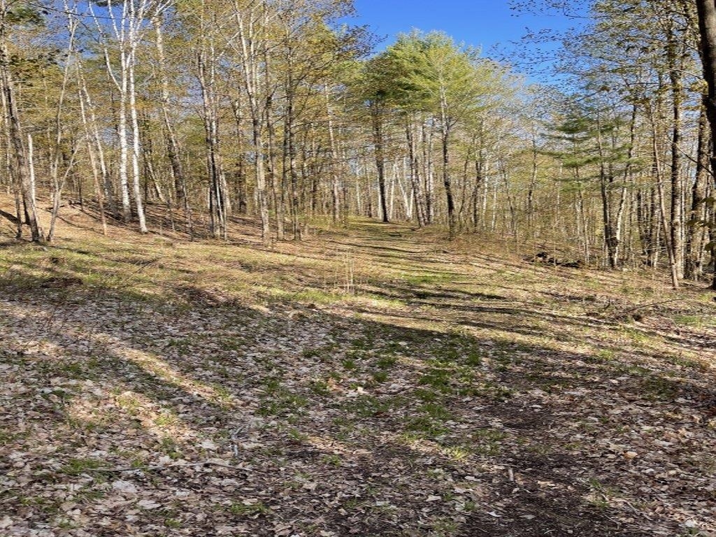 90 Reading Farms Road Reading, VT 05062 - Photo 6 of 6