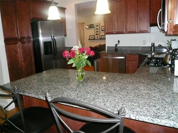 7 C Charles Ridge Road, Unit C Littleton, MA 01460 - Photo 3 of 18 a kitchen with stainless steel appliances granite countertop a sink refrigerator and cabinets