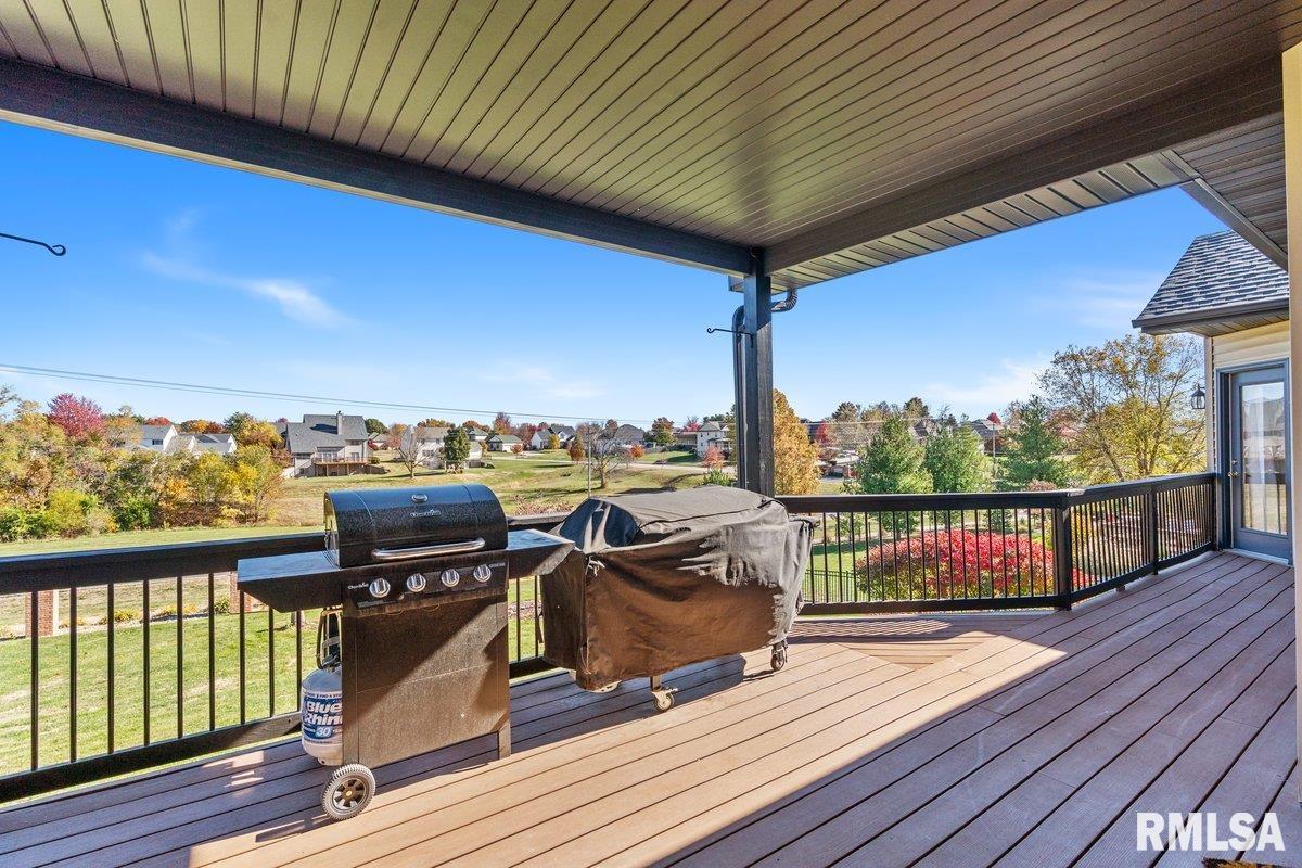 204 Grindstone Road Chatham, IL 62629 - Photo 43 of 59